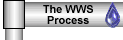 The WWS Process