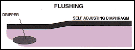 Flushing